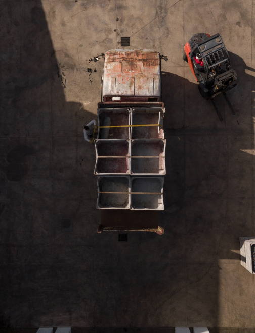 Transport Siebnen International Tiertransporte-Schuler Kurier